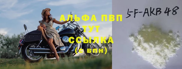 СК Сясьстрой