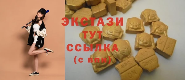 СК Сясьстрой