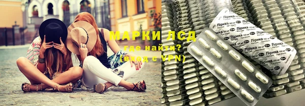 трава Тайга