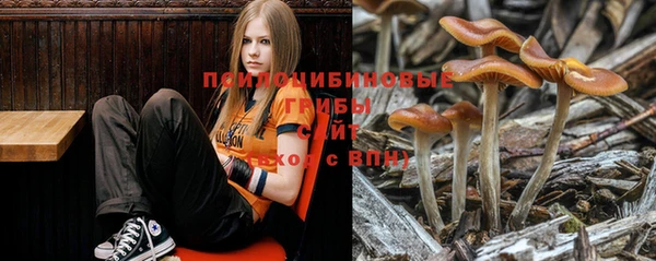 гидропоника Тавда