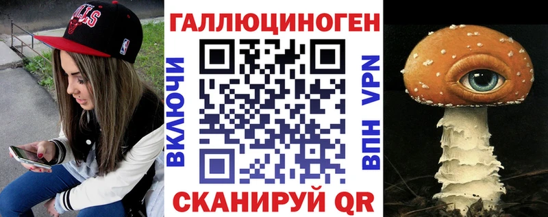 что такое   Кызыл  Галлюциногенные грибы Psilocybine cubensis 