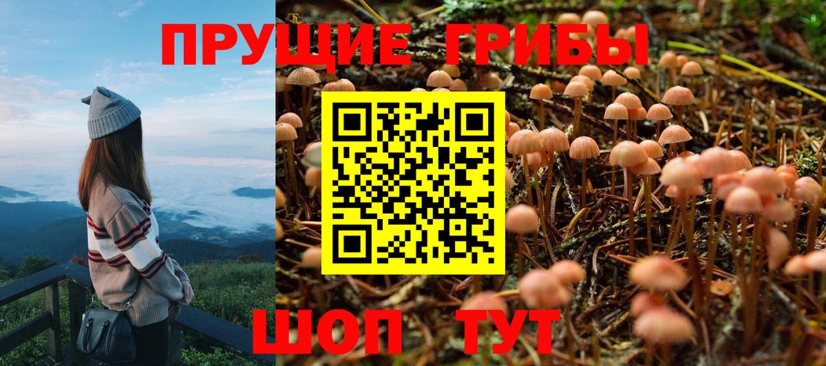Псилоцибиновые грибы MAGIC MUSHROOMS  Вход с VPN  Кызыл  Галлюциногенные грибы Psilocybine cubensis 